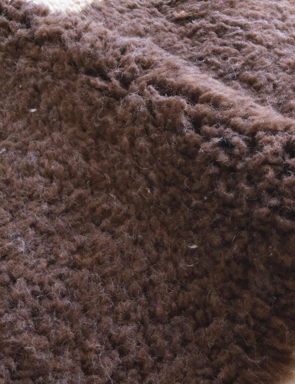 BERBERTEPPICH grafisch Wolle 300x 402 cm - Multicolor, Naturmaterialien (300/402cm) - AFK Living