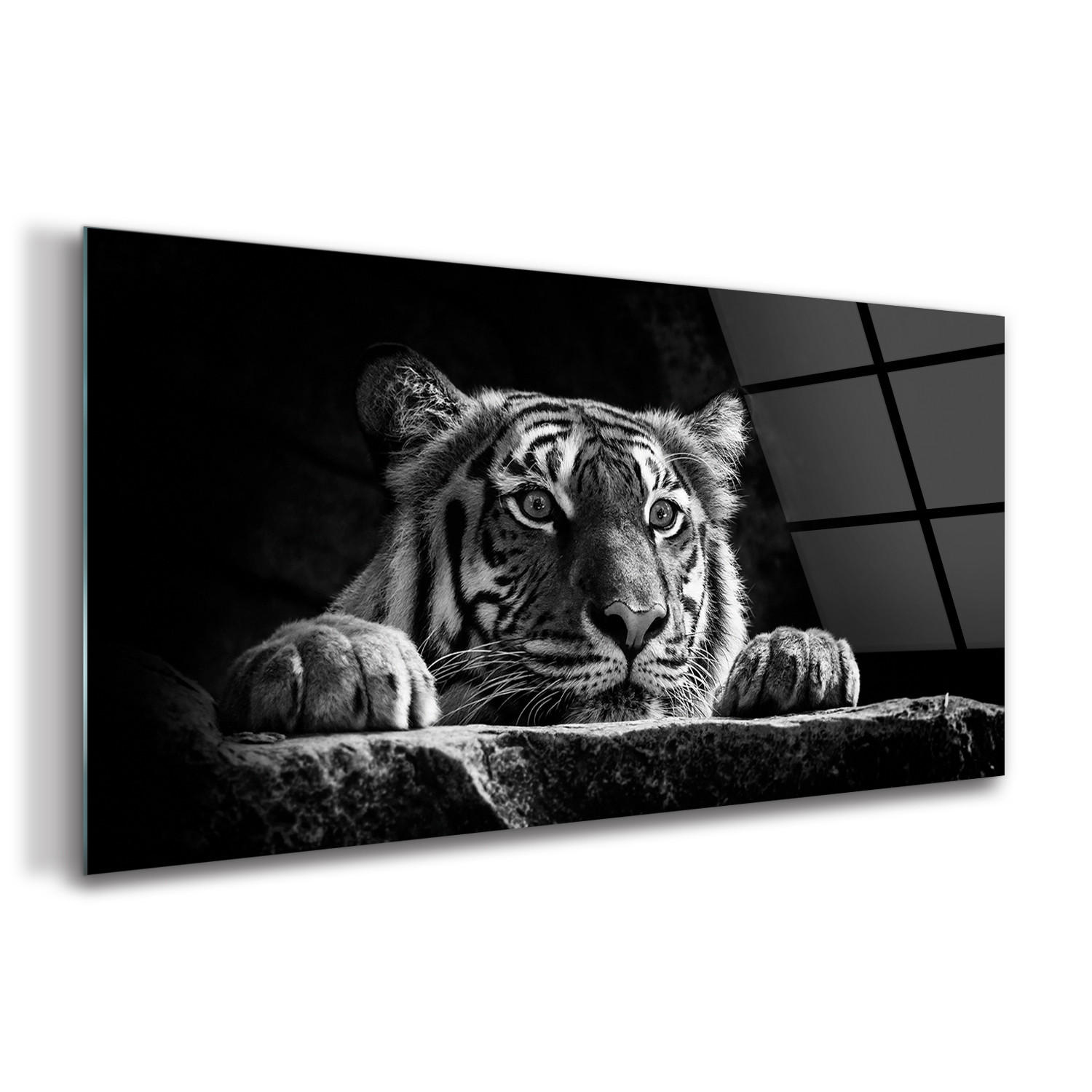 GLASBILD 120x60 cm Wildes Tier - Hellgrau/Schwarz, Glas (120/60cm) - TULUP