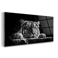 GLASBILD 120x60 cm Wildes Tier - Hellgrau/Schwarz, Glas (120/60cm) - TULUP