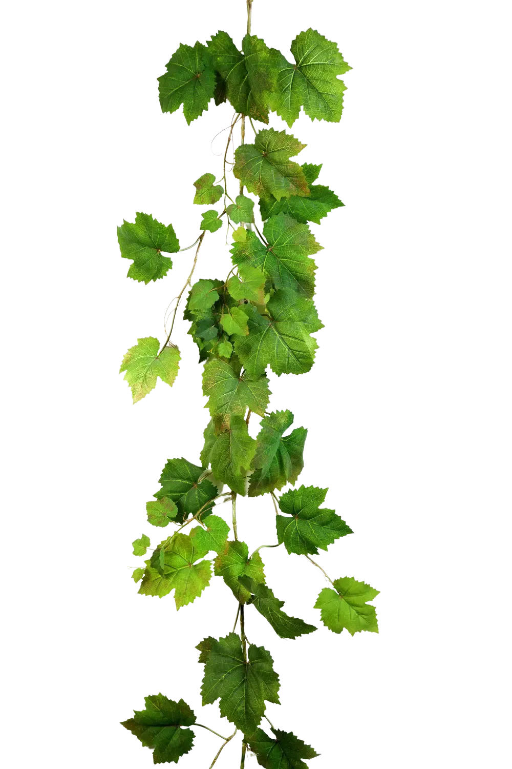 KUNSTPFLANZE Künstliche Weinreben Girlande - Bela 180 cm - Grün, Kunststoff (180cm) - aplanta