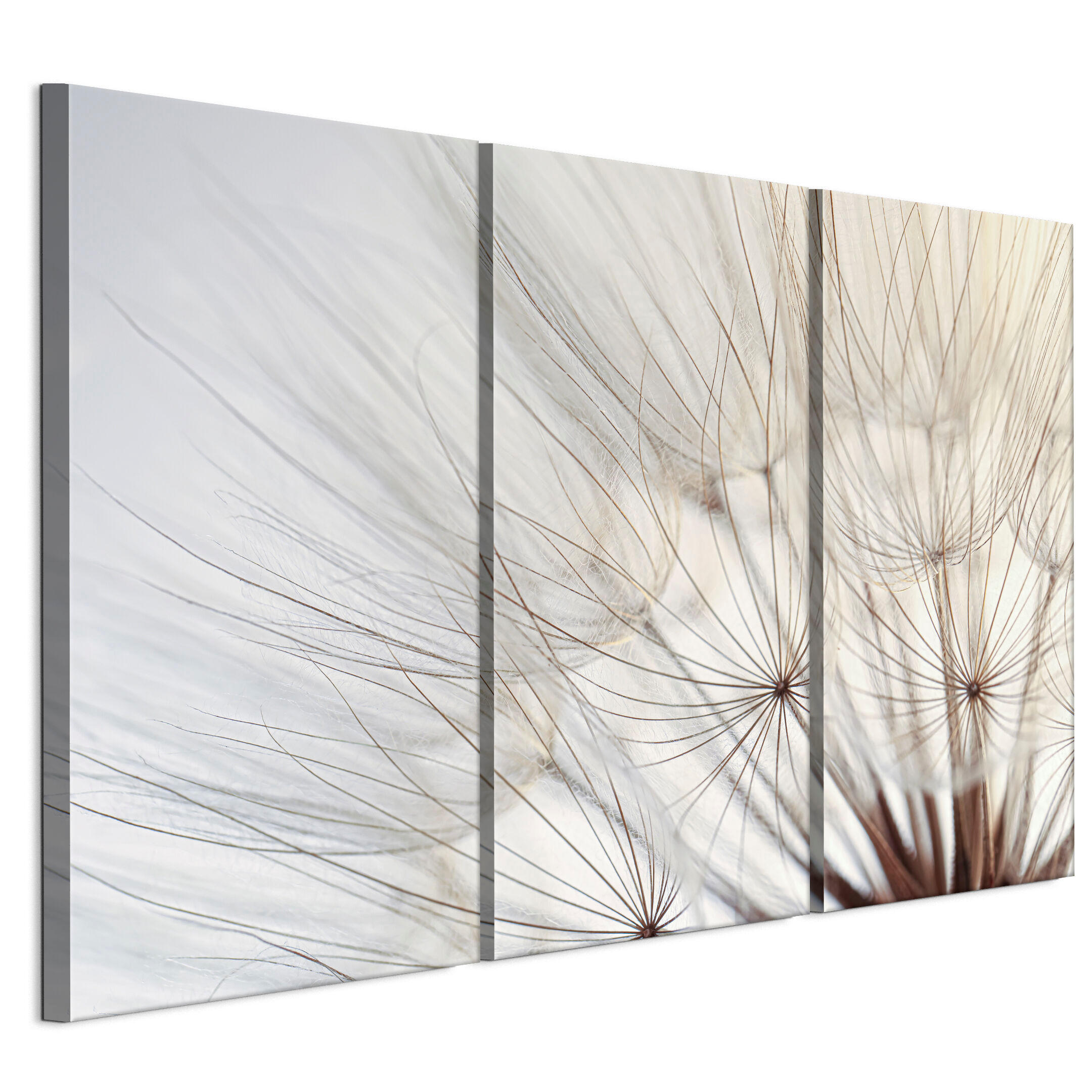 LEINWANDBILD Pusteblumen 3-tlg. 90x60 cm - Multicolor, Holz (90/60cm) - LUMASOUL