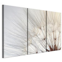 LEINWANDBILD Pusteblumen 3-tlg. 90x60 cm - Multicolor, Holz (90/60cm) - LUMASOUL