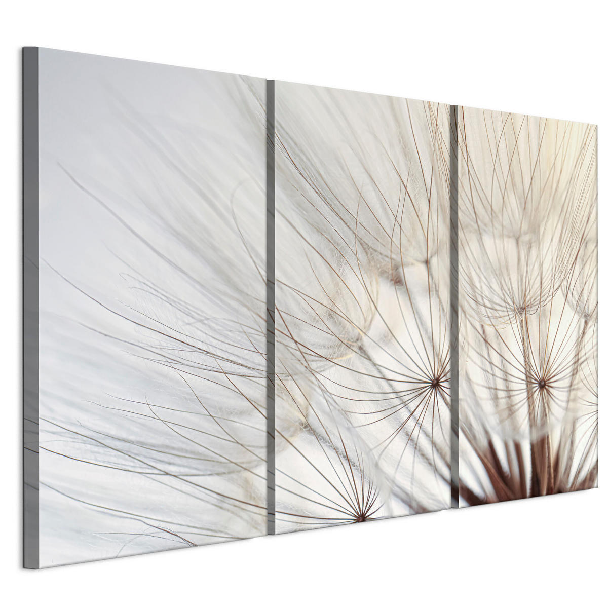 LEINWANDBILD Pusteblumen 3-tlg. 90x60 cm - Multicolor, Holz (90/60cm) - LUMASOUL