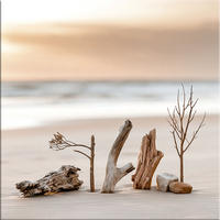 GLASBILD 50x50 cm Treibholz Strand beige-weiß - Beige, Glas (50/50cm) - artissimo