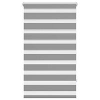 DOPPELROLLO 70,9/120 cm Stoffbreite 66,7 cm aus Polyester Grau - Grau, Textil (70/120cm) - vidaXL