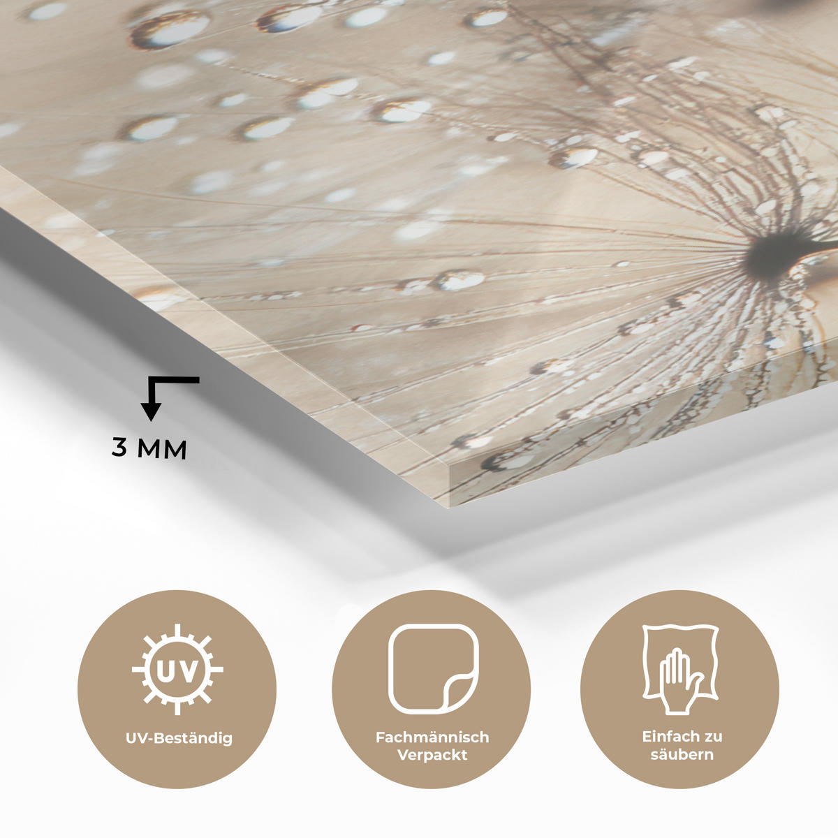ACRYLGLASBILD Löwenzahn - Abstrakt - Natur - Beige 40x60 cm - Braun, Glas (40/60cm) - MuchoWow