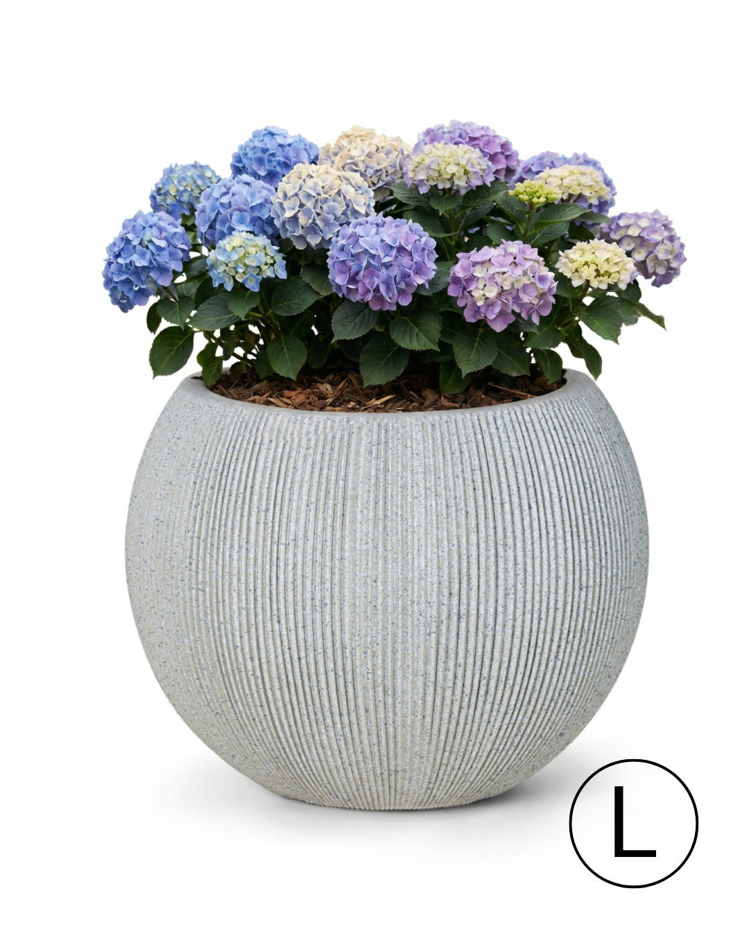 BLUMENTOPF Grau ROTONDO L 53x53x42 cm - Grau, Kunststoff (42cm) - Mazovia