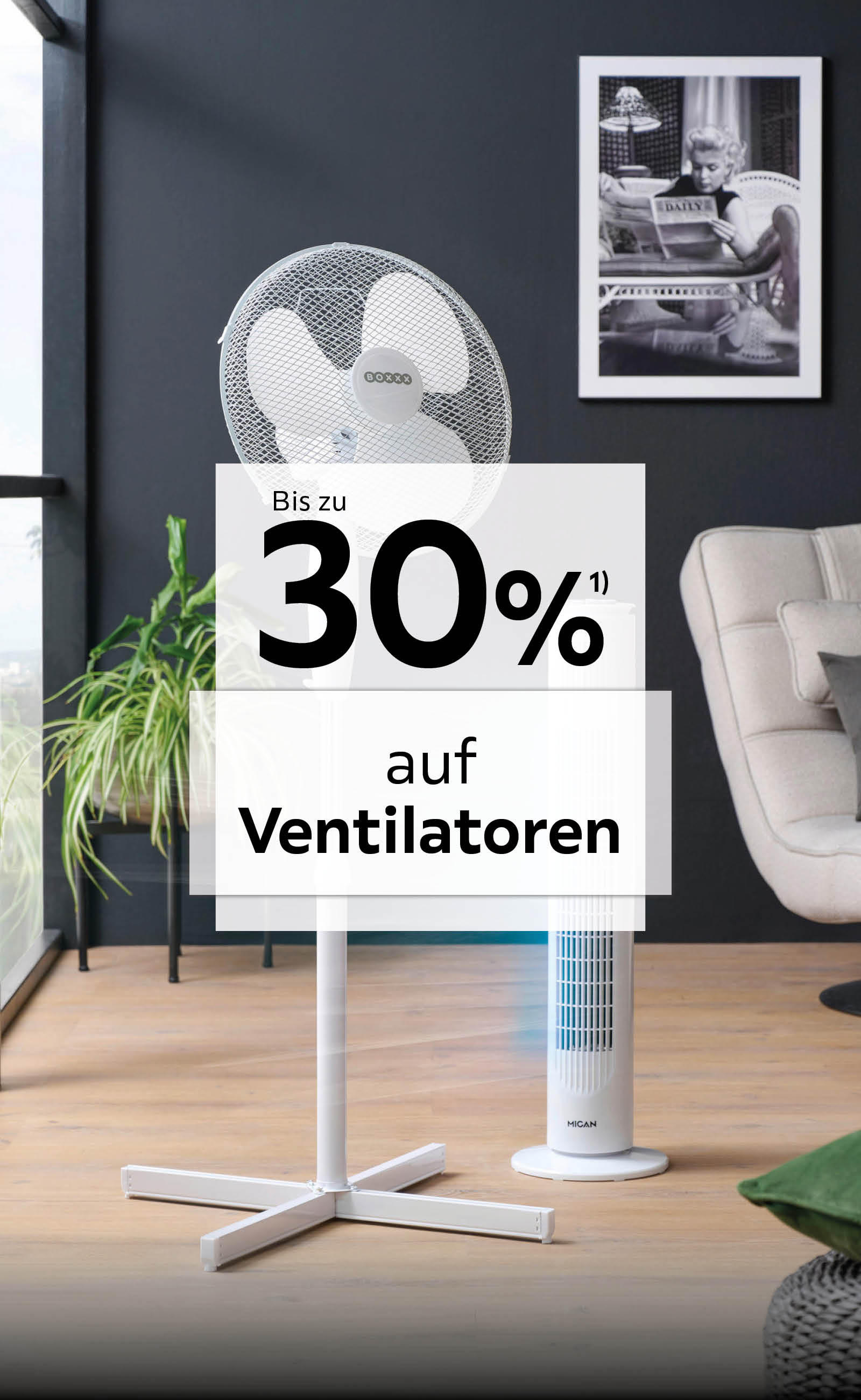 Bis zu 30% auf Ventilatoren