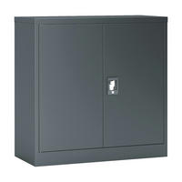 AKTENSCHRANK Molise - Dunkelgrau, Metall (90/90/40cm) - [en.casa]