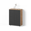 MIDISCHRANK Ronco Anthrazit gepunktet 60 x 81 cm - Eichefarben/Anthrazit, Holzwerkstoff (60/81/30cm) - Livinity®