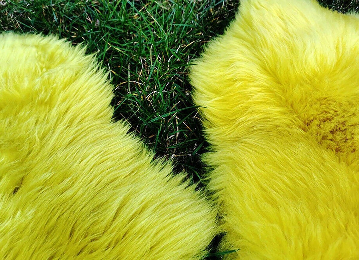 LAMMFELL Öko bunt gefärbt weich Fell Teppich Sonnengelb ca. 90 cm - Gelb, Fell (50/90cm) - Provellus