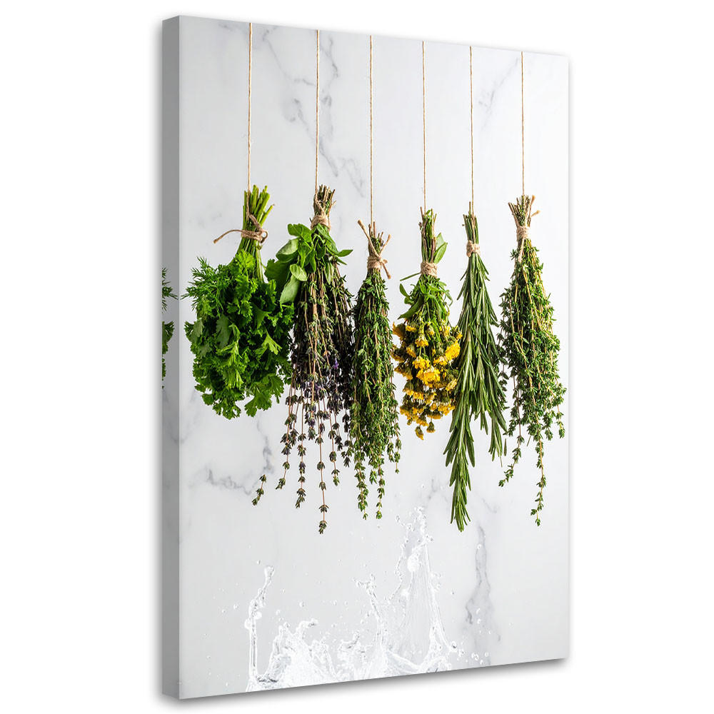 LEINWANDBILD Kräuter Gewürze Pflanzen 70x100cm - Weiß, Textil (70/100cm) - Feeby