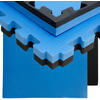 BODENSCHUTZ-MATTE 90/90/4cm Blau - Blau, Kunststoff (90/90cm) - eyepower