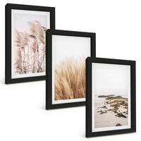 BILDER SET 3er Set - 20x30 cm Schwarzer Rahmen - Pampasgrasfelder und ein Boho-Strand - Schwarz, Kunststoff (20/30cm) - TULUP