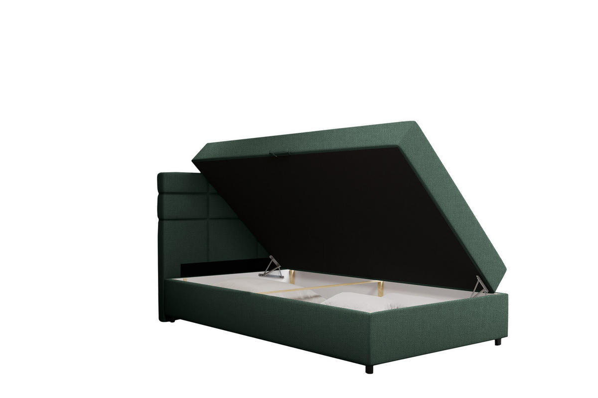 BOXBETT Reve 120 x 200 cm mit Bettkasten und Lattenrost ohne matratze - dunkelgrün - Dunkelgrau, Holz (120/206cm) - Panda Möbel