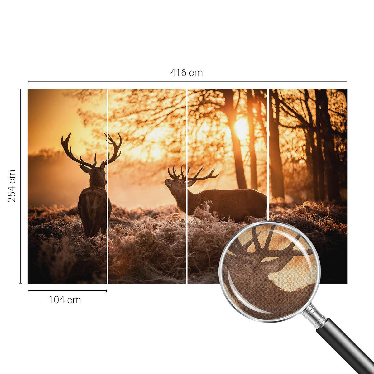 FOTOTAPETE 416x254 cm - Rehe am Morgen - Schwarz, Textil (416/254cm) - Wallfluent