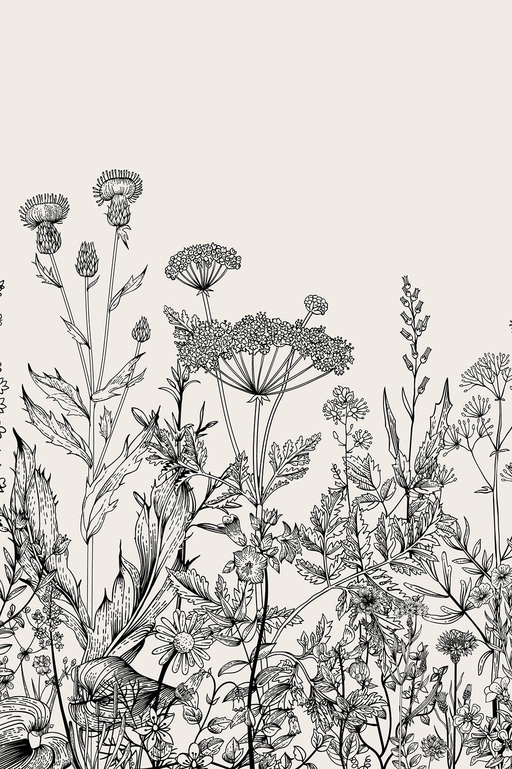 ROLLO LICHTDURCHLÄSSIG 120x180 cm Graue Blumen - Grau, Textil (120/180cm) - TULUP