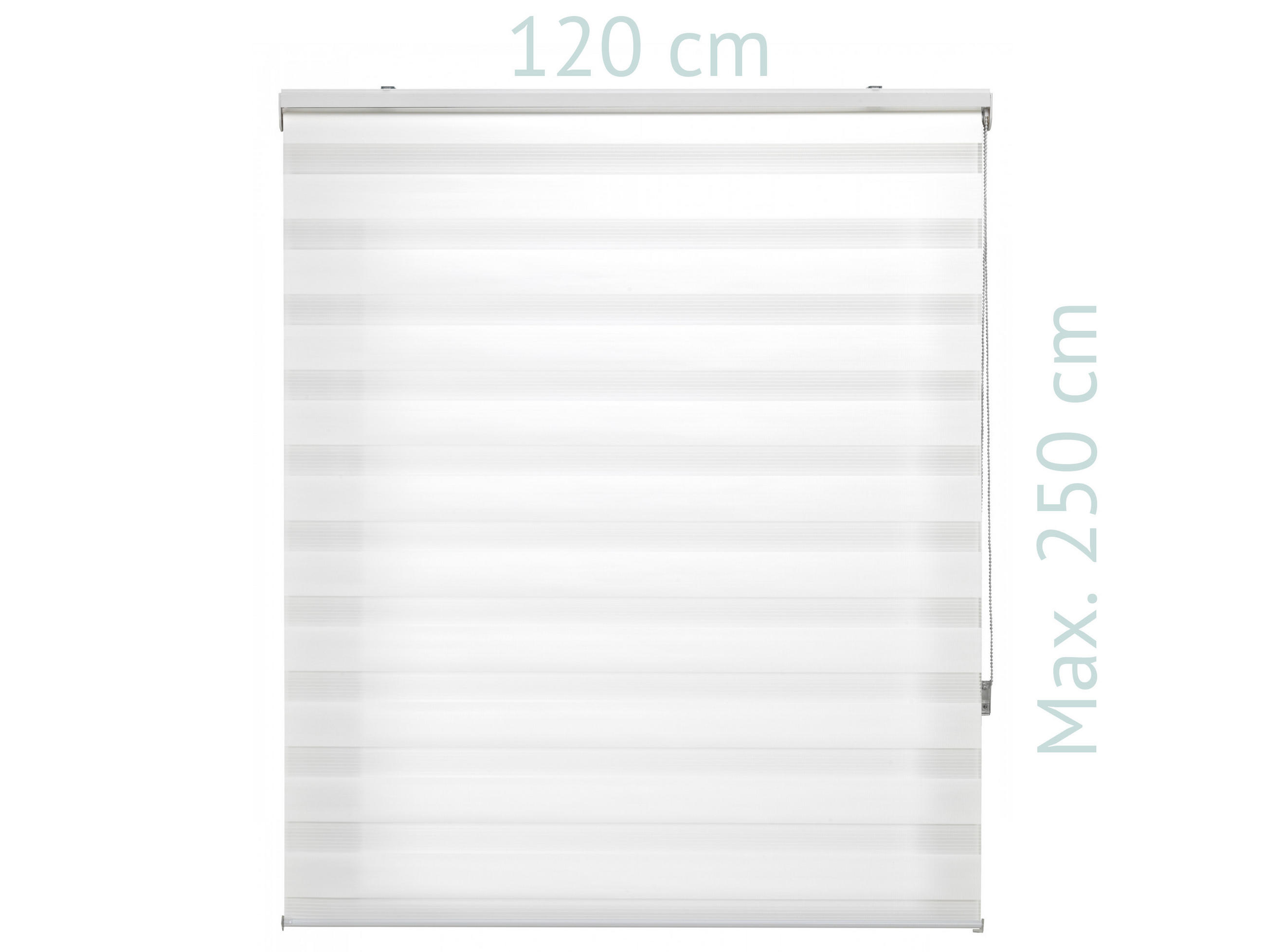 ROLLO Polyester Transluzent Cream 120x250 - Creme, Textil (120/250/1cm) - Purline