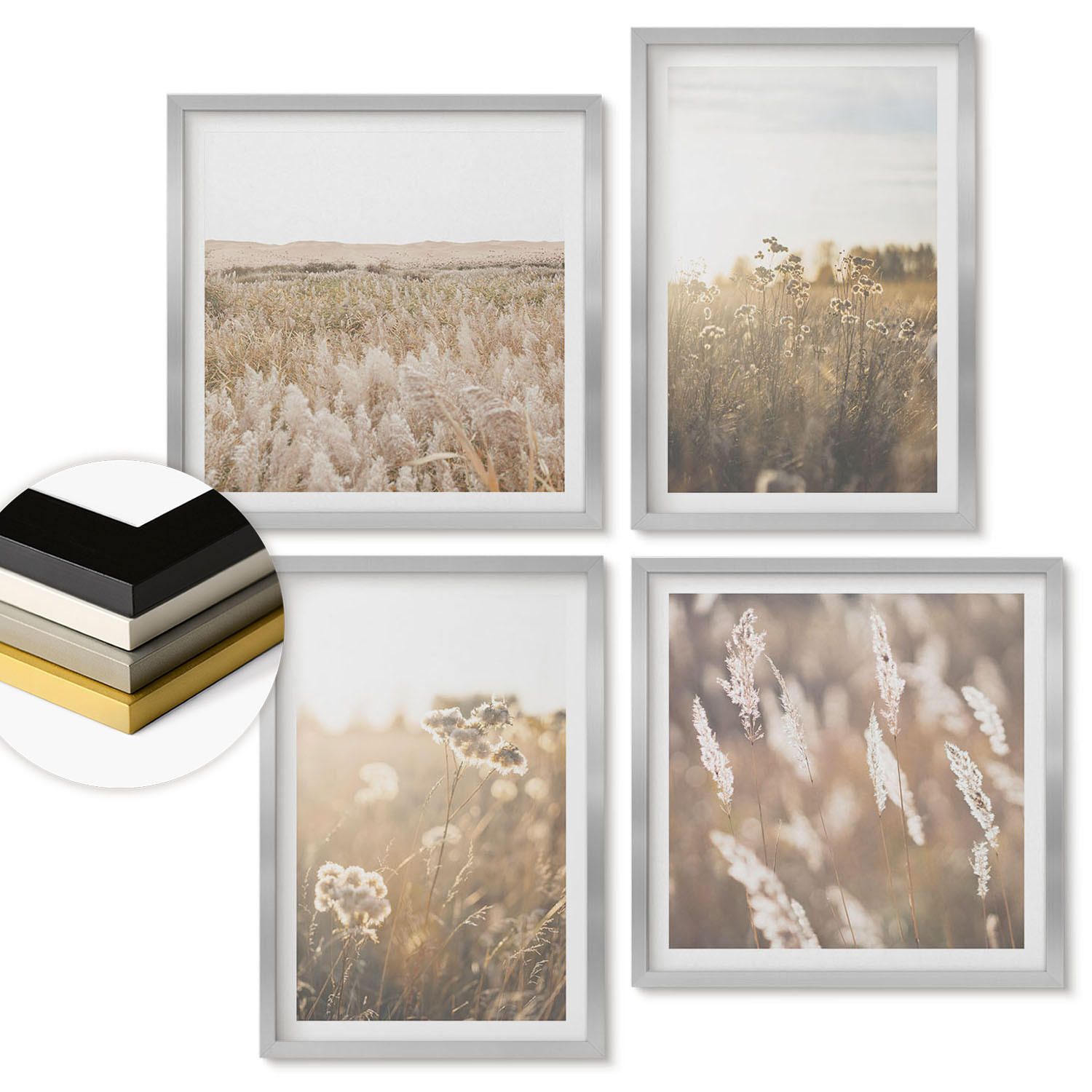 WANDBILDER 4er Set - 50x50 cm & 40x60 cm Silberner Rahmen - Landschaftsgrasblumen Wärme - Silberfarben, Kunststoff (50/50cm) - ArtPrintCave