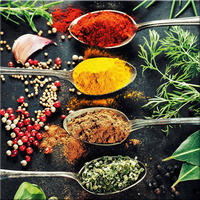 GLASBILD 50x50 cm Küche Gewürze bunt - Rot/Schwarz, Glas (50/50cm) - artissimo