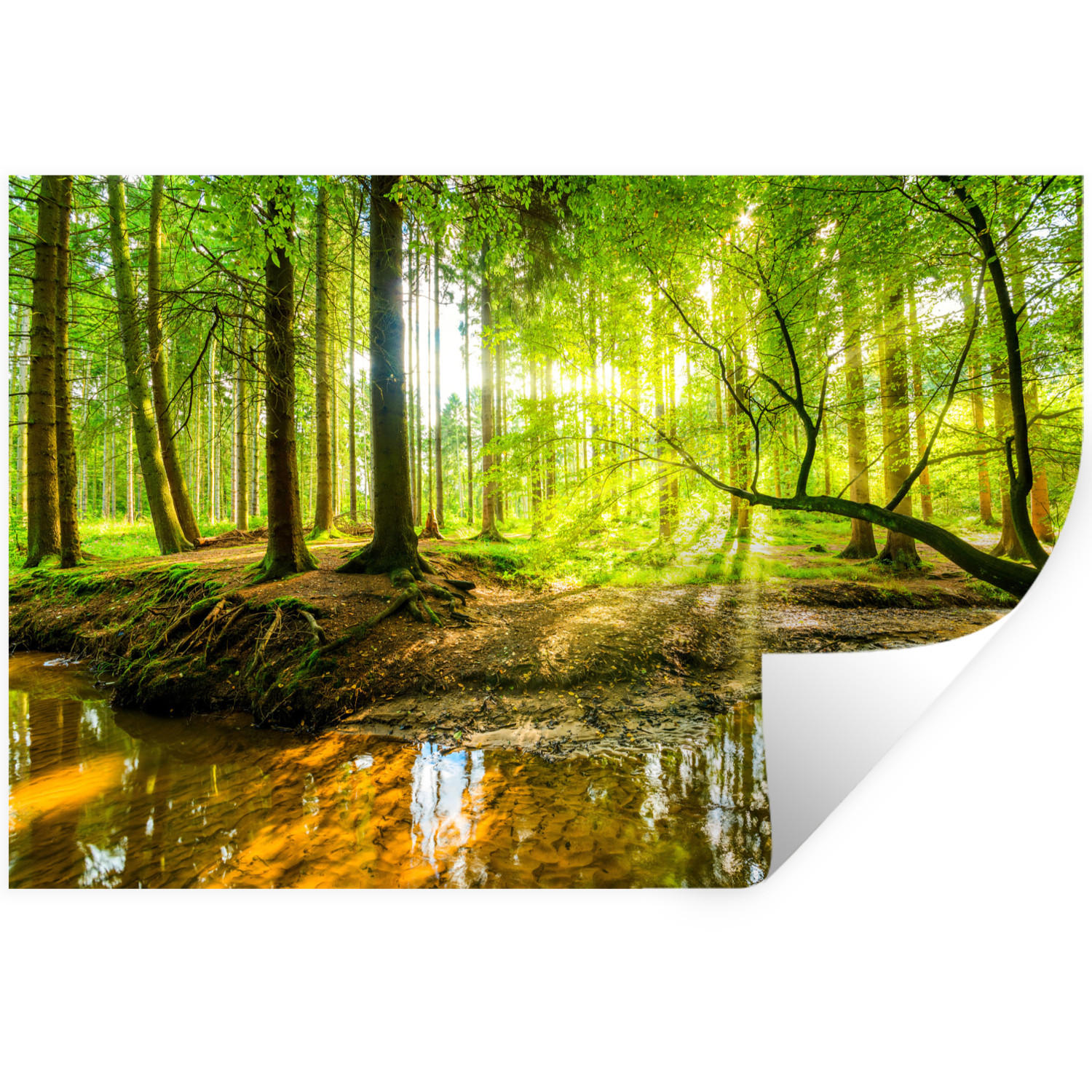 WANDTATTOO Wald - Landschaft - Wasser - Bäume - Sonne - Grün - Natur 120x80 cm - Grün, Kunststoff (120/80/0.1cm) - MuchoWow