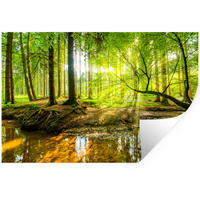 WANDTATTOO Wald - Landschaft - Wasser - Bäume - Sonne - Grün - Natur 120x80 cm - Grün, Kunststoff (120/80/0.1cm) - MuchoWow