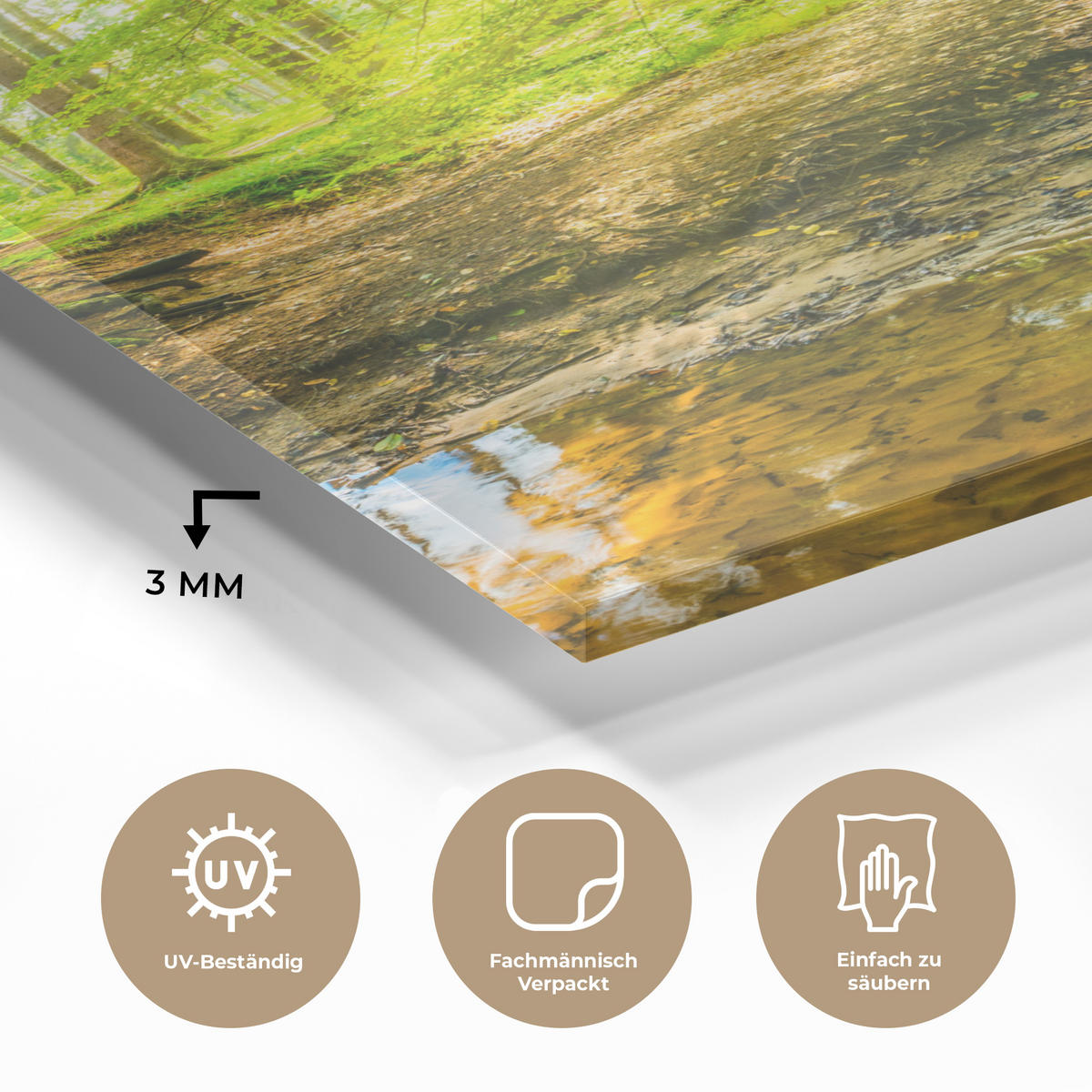 ACRYLGLASBILD Wald - Landschaft - Wasser - Bäume - Sonne - Grün - Natur 40x60 cm - Grün, Glas (40/60cm) - MuchoWow
