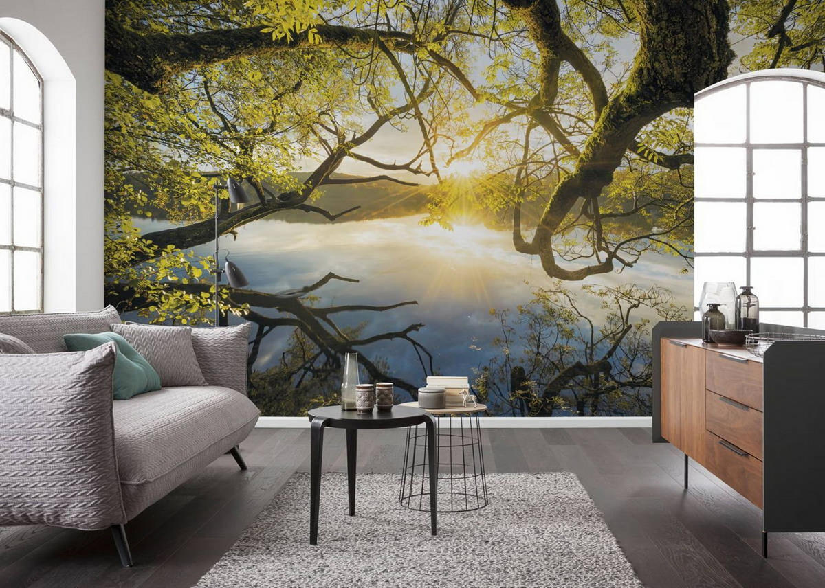 FOTOTAPETE Landschaft 400 x 250 cm - Grün, Papier (400/250cm) - Sanders & Sanders