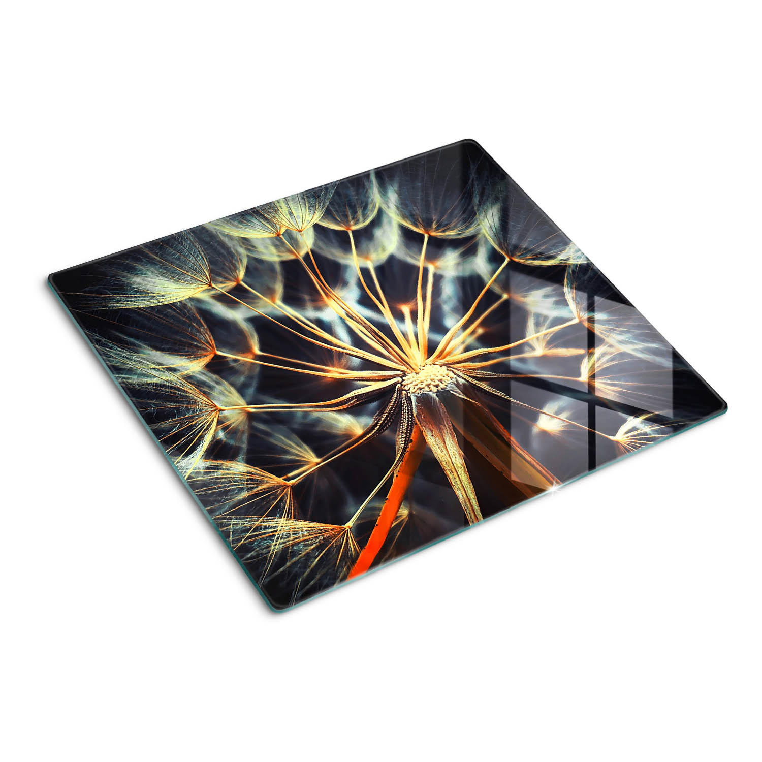 GLASPLATTE 60x52 cm Löwenzahn - Braun, Glas (60/0.4/52cm) - TULUP