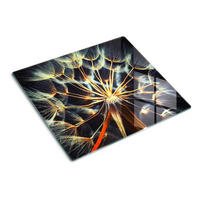 GLASPLATTE 60x52 cm Löwenzahn - Braun, Glas (60/0.4/52cm) - TULUP