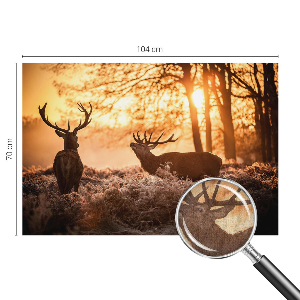 FOTOTAPETE 104x70 cm - Rehe am Morgen - Schwarz, Textil (104/70cm) - Wallfluent