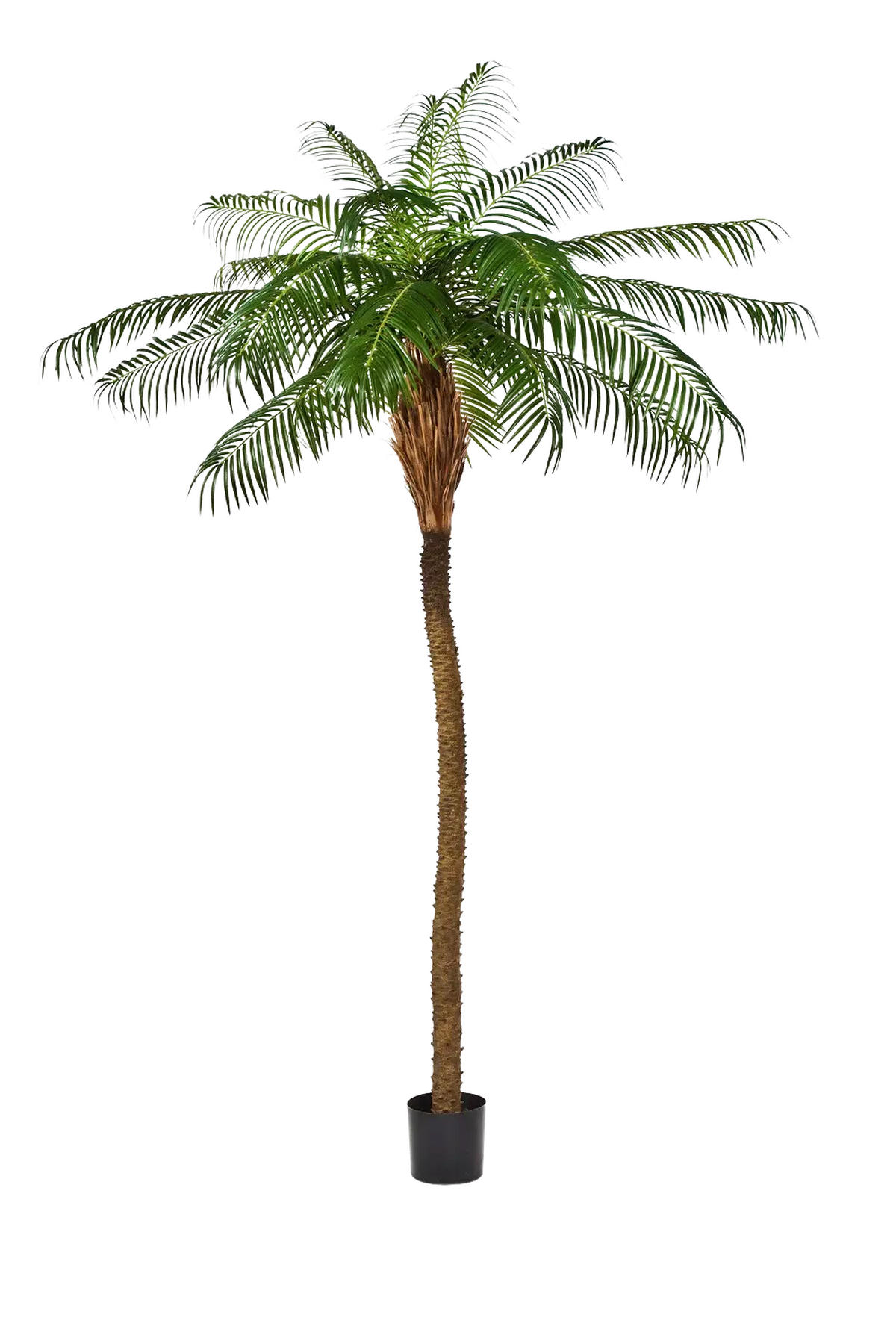 PHOENIX PALMEN Künstliche Dattelpalme - Kaan 225 cm - Grün, Kunststoff (225cm) - aplanta