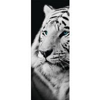 GLASBILD 30x80 cm Tiere - Anthrazit, Glas (30/80cm) - artissimo