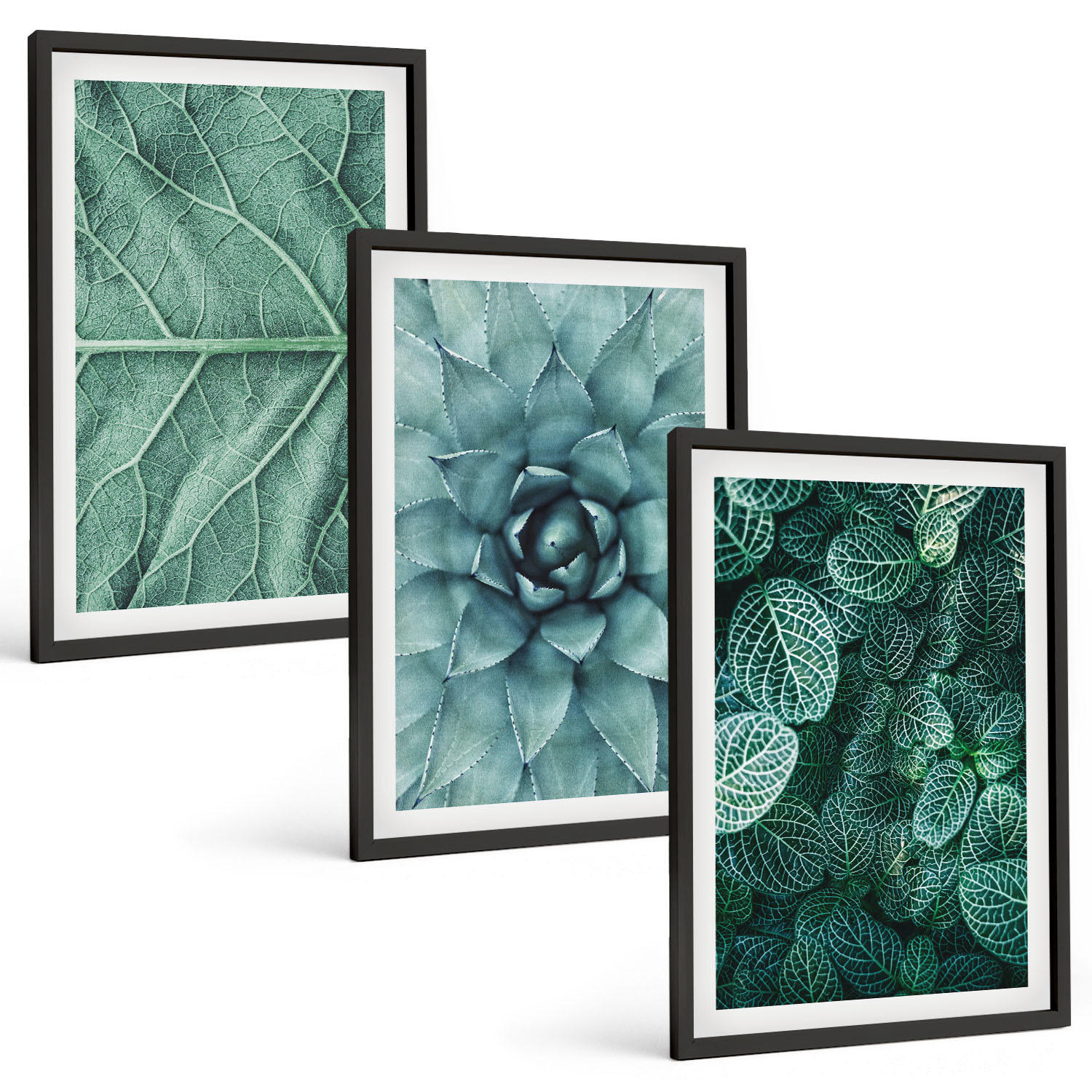 BILDER SET 3er Set - 40x60 cm Schwarzer Rahmen - Nahaufnahme von Pflanzenblättern - Schwarz, Kunststoff (40/60cm) - TULUP