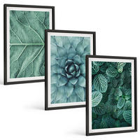 BILDER SET 3er Set - 40x60 cm Schwarzer Rahmen - Nahaufnahme von Pflanzenblättern - Schwarz, Kunststoff (40/60cm) - TULUP
