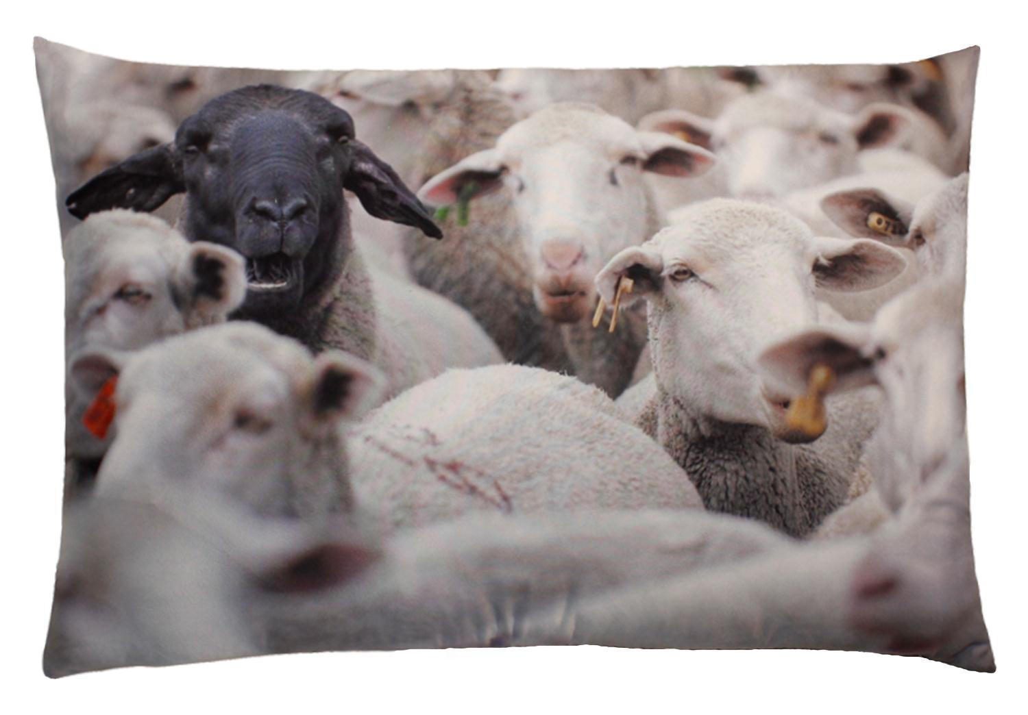 KISSENBEZUG Fotodruck 40x60 cm Schafe - Weiß, Textil (40/60cm) - TiborTex