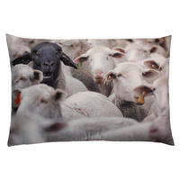 KISSENBEZUG Fotodruck 40x60 cm Schafe - Weiß, Textil (40/60cm) - TiborTex