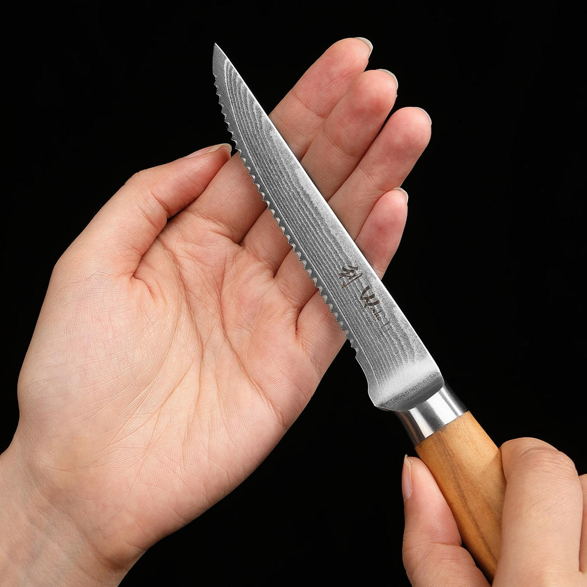 STEAKMESSERSET 4-tlg. 12 cm - Braun, Holz/Metall (24cm) - Wakoli