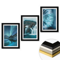 WANDBILDER 3er-Set - 20x30 cm Schwarzer Rahmen - Winterlandschaften mit Wasserfällen - Schwarz, Kunststoff (20/30cm) - ArtPrintCave