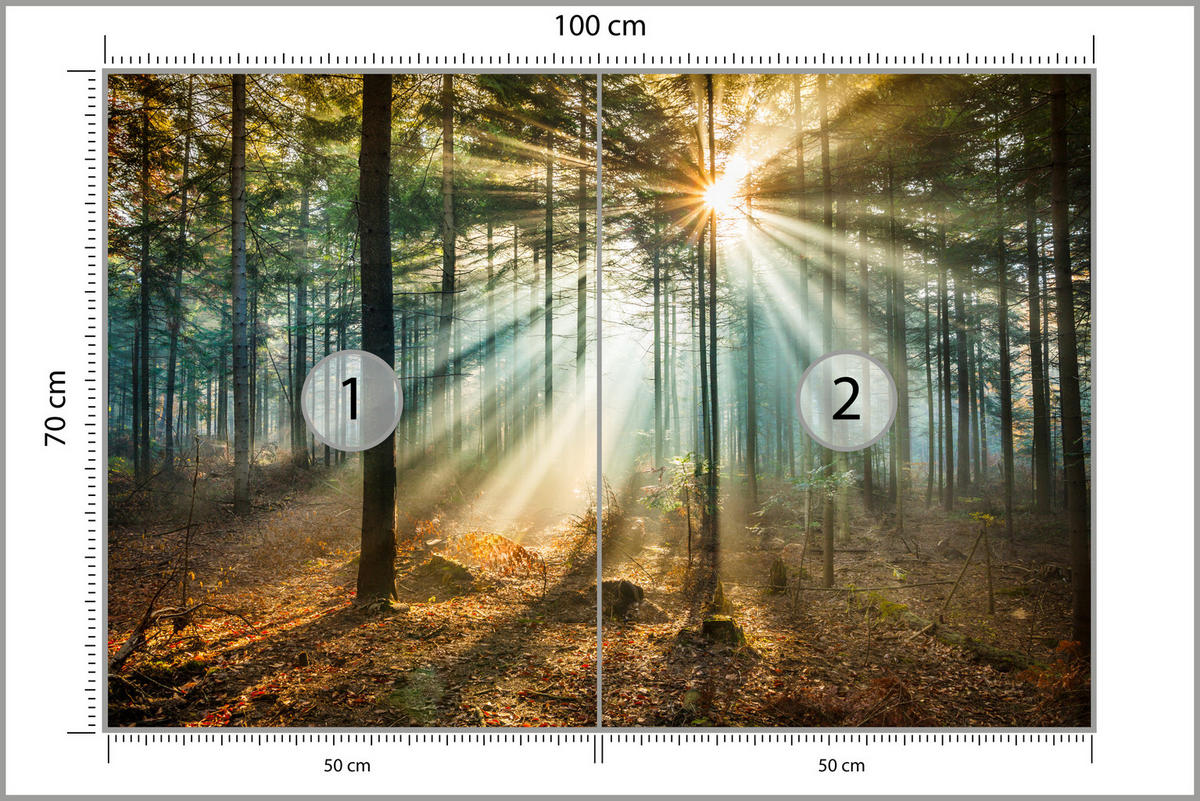 FOTOTAPETE für Wohnzimmer Herbstwald Sonnenuntergang Bäume Natur 100x70 - Beige/Gelb, Papier (100/70cm) - Muralo