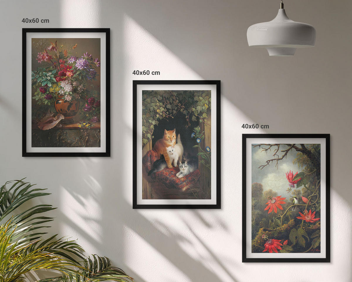 BILDER SET 3er Set - 40x60 cm Schwarzer Rahmen - Vintage-Blumen, Katzen, Natur - Schwarz, Kunststoff (40/60cm) - TULUP