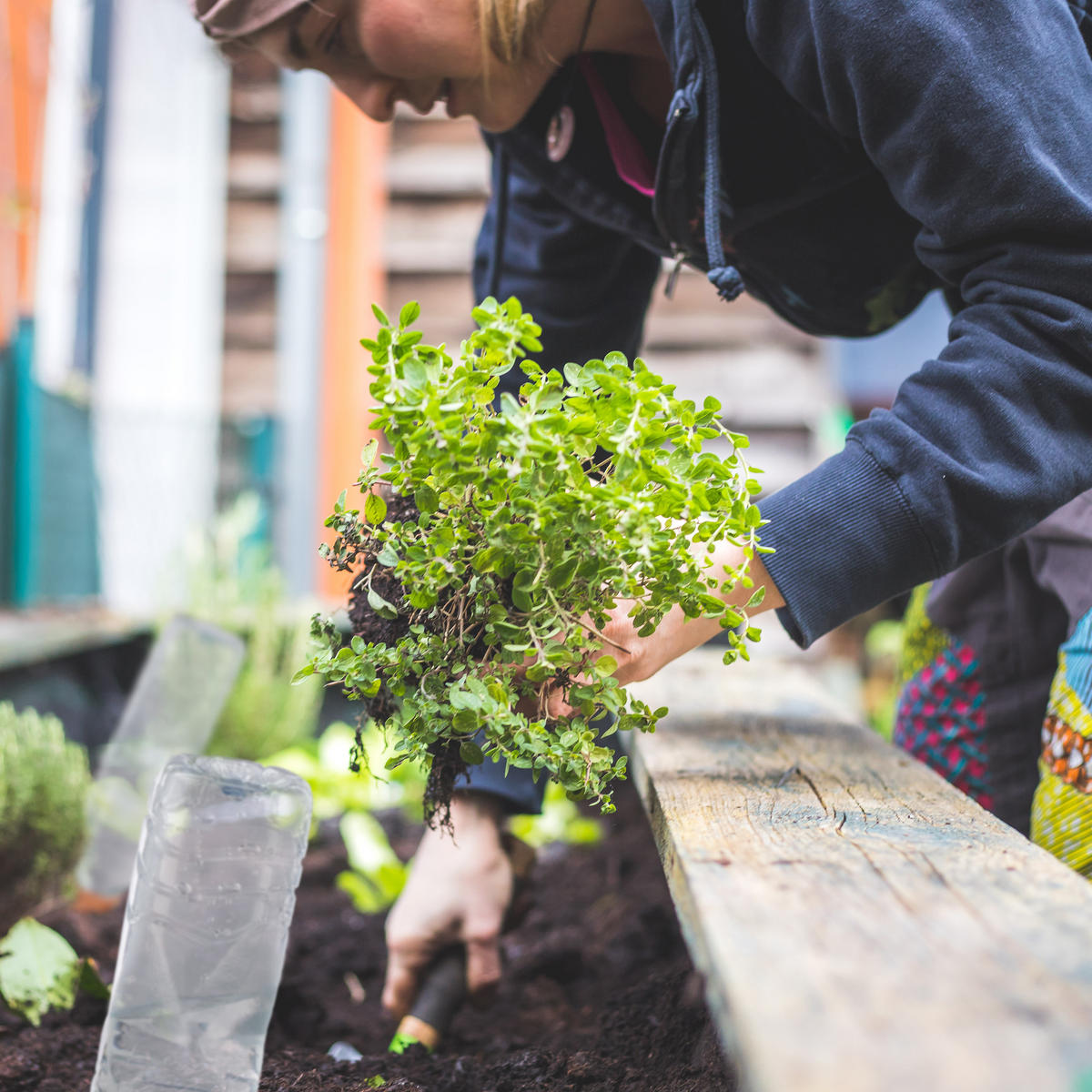 4XTONKEGEL - Multicolor, Keramik (5.5/13.5/5cm) - Relaxdays