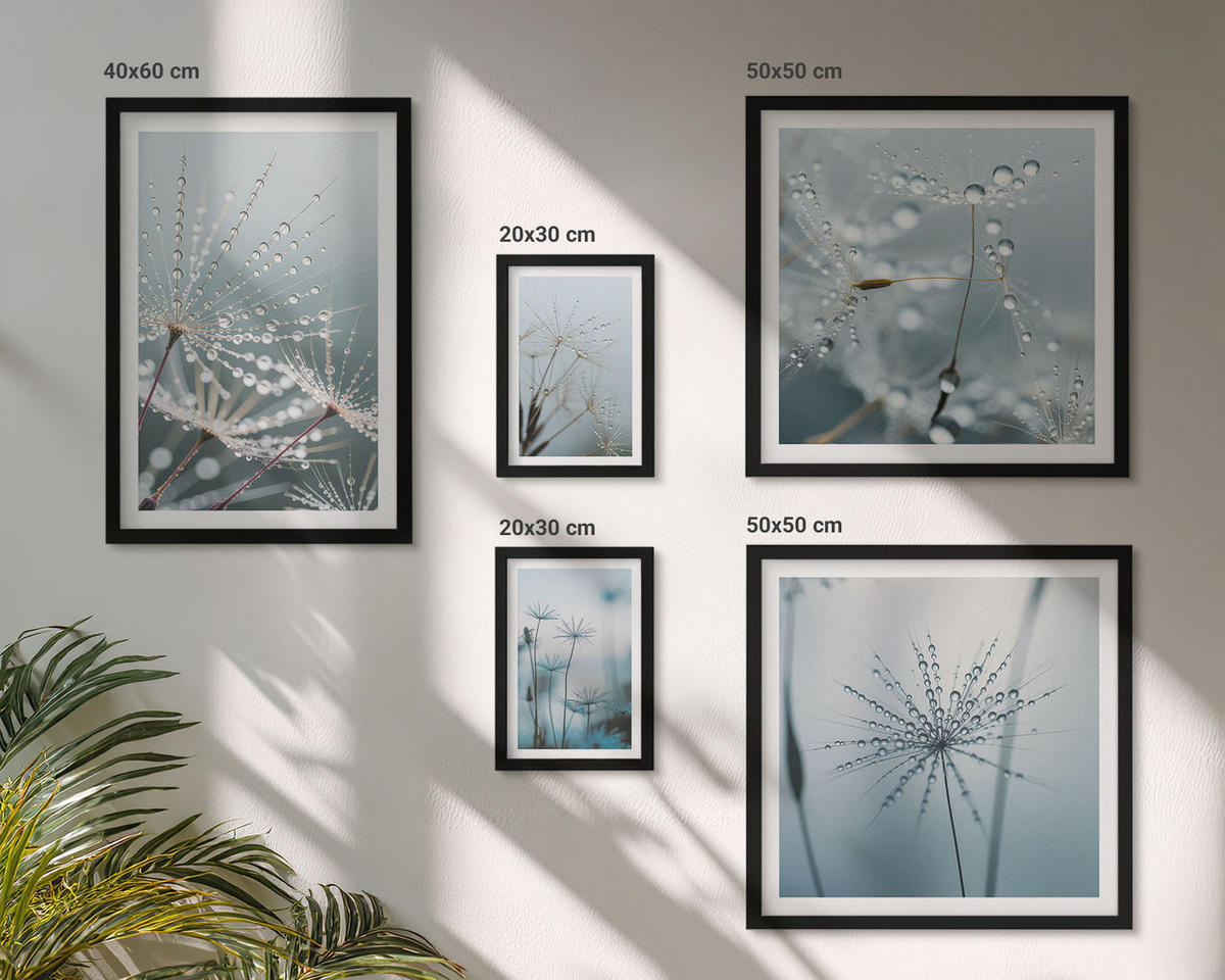 WANDBILDER 5er-Set - 50x50 cm & 20x30 cm & 40x60 cm Schwarzer Rahmen - Tautropfen auf Löwenzahn - Schwarz, Kunststoff (40/60cm) - ArtPrintCave
