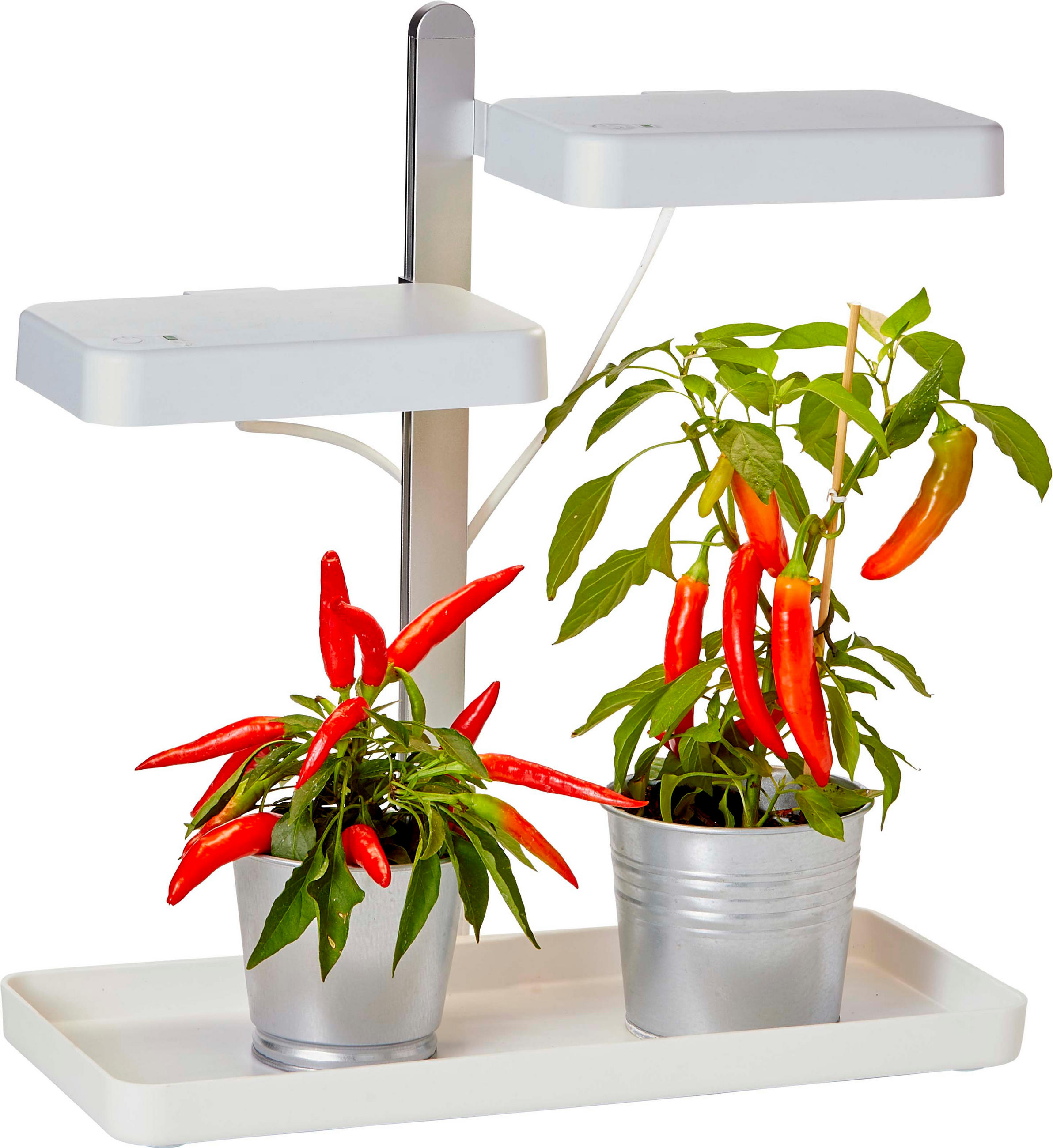 Northpoint Led-Pflanzenlampe Weiß 42.3x45x19 cm