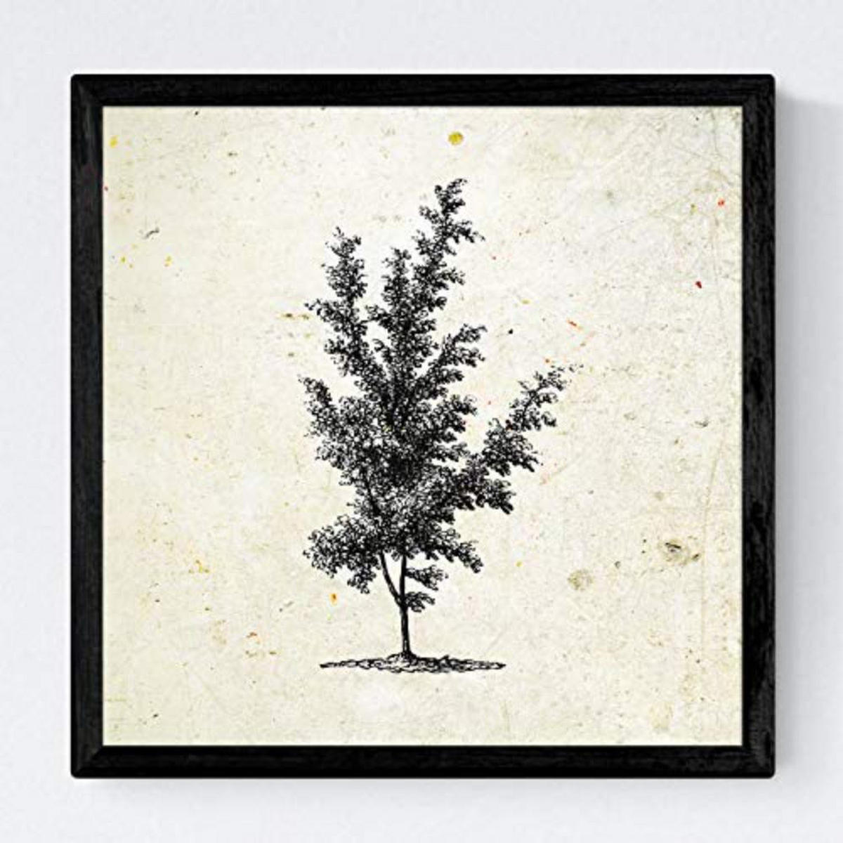 POSTER Set mit 4 Bädern Bäume variierten Jahrgang Hintergrund 30x30 cm Rahmenlos - Klar, Papier (30/3cm) - Nacnic