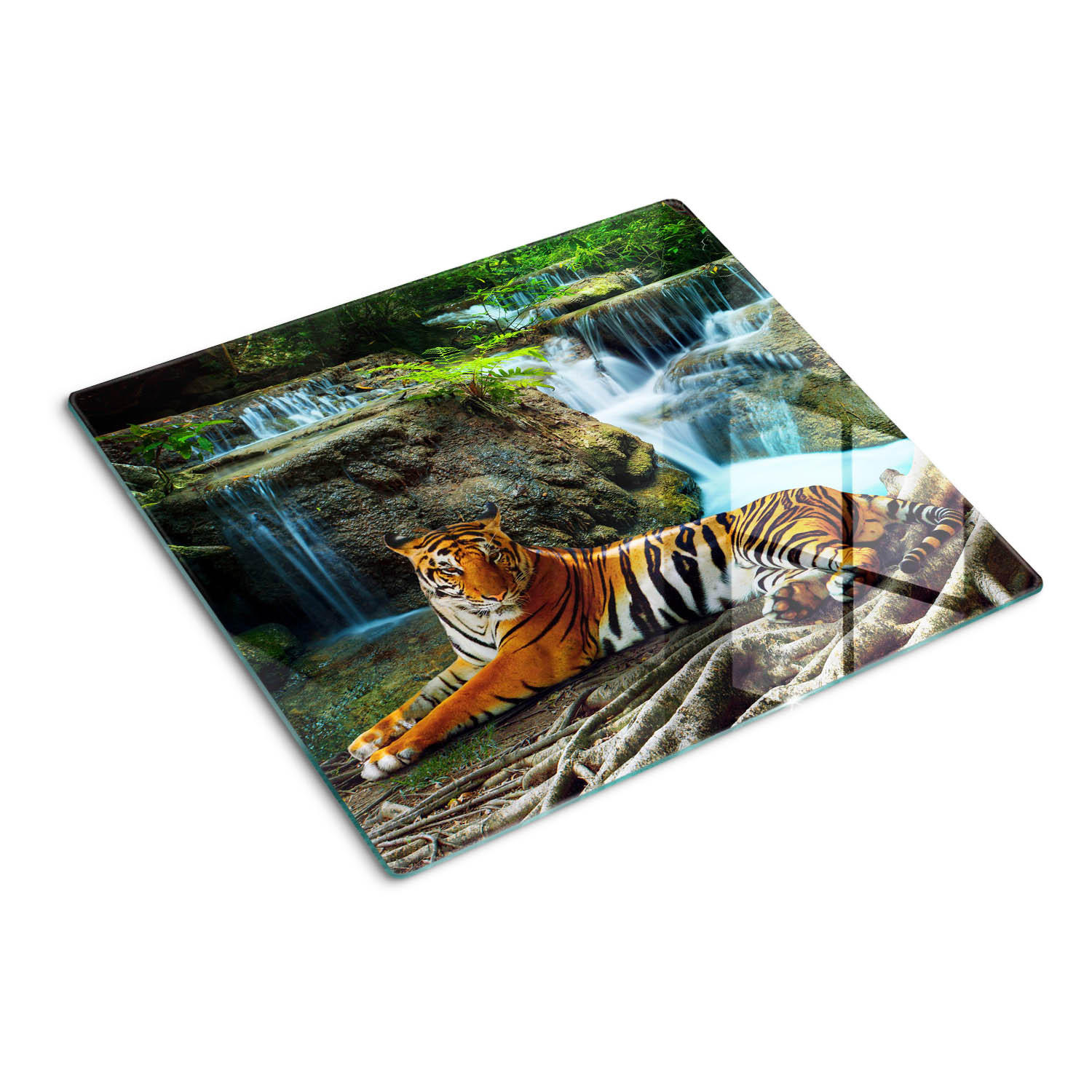 GLASPLATTE 60x52 cm Tiger Falls - Blau/Multicolor, Glas (60/0.4/52cm) - TULUP