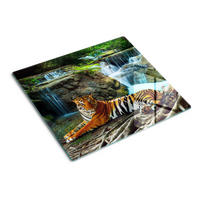 GLASPLATTE 60x52 cm Tiger Falls - Blau/Multicolor, Glas (60/0.4/52cm) - TULUP