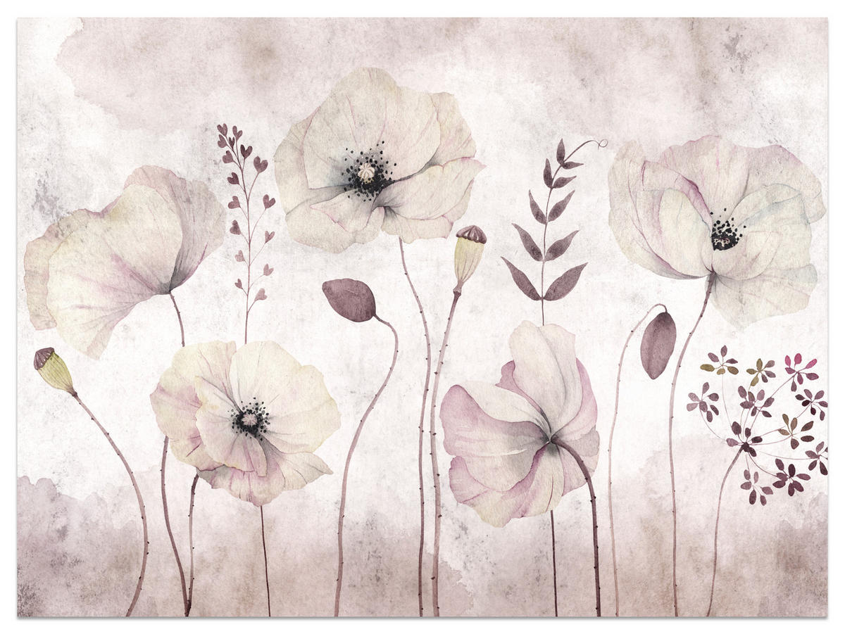 FOTOTAPETE für Schlafzimmer Zarte Mohnblumen Wiese Blumen 500x350 - Violett, Papier (500/350cm) - Muralo