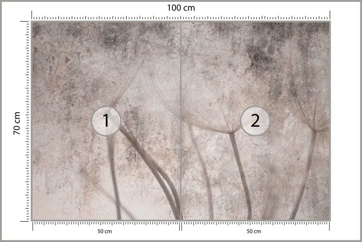 FOTOTAPETE für Schlafzimmer Retro Löwenzahn Beton Beige Minimalistisch 100x70 - Beige/Braun, Papier (100/70cm) - Muralo