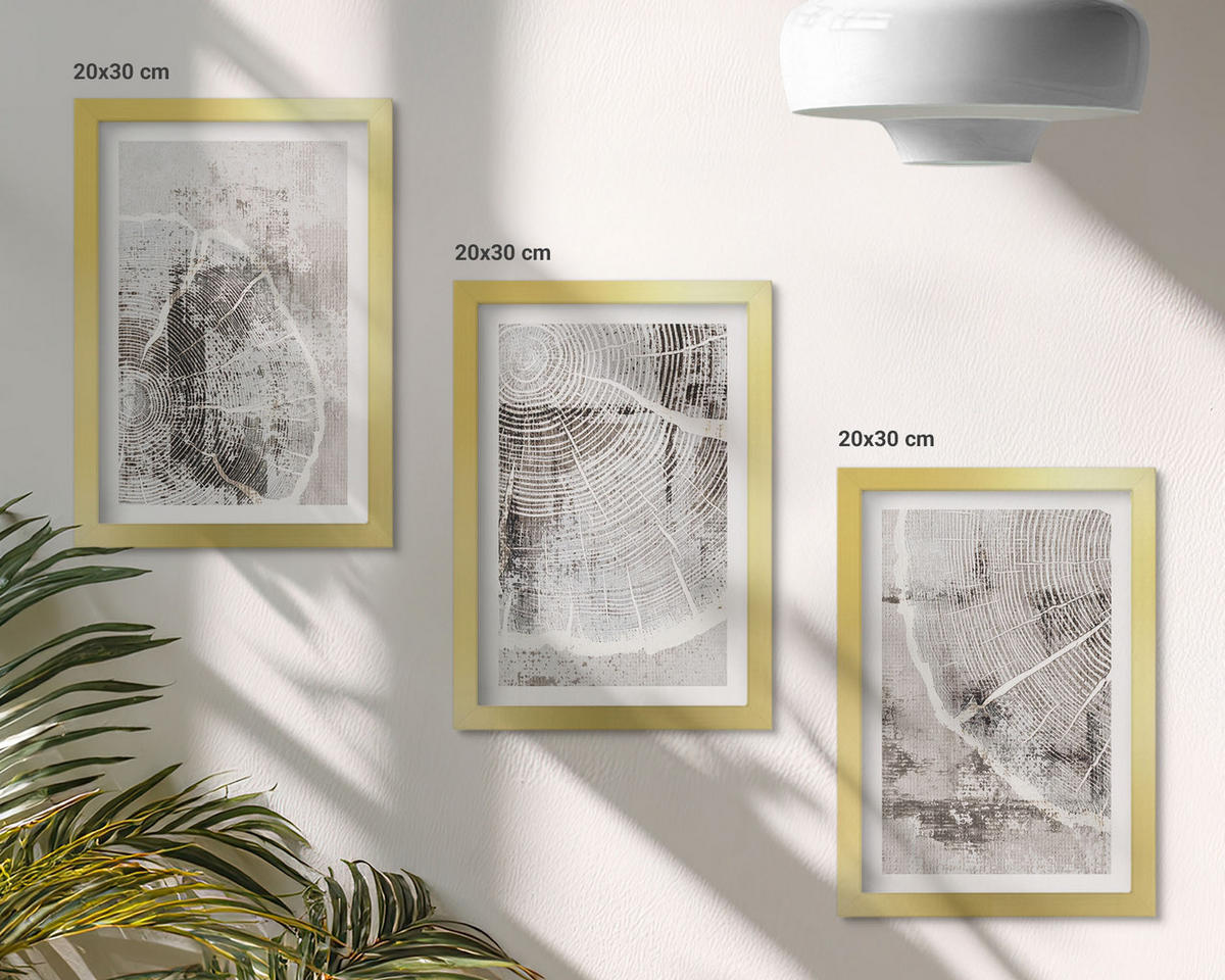 WANDBILDER 3er Set - 20x30 cm Goldrahmen - Graue Holzmaserungsmuster - Goldfarben, Kunststoff (20/30cm) - ArtPrintCave